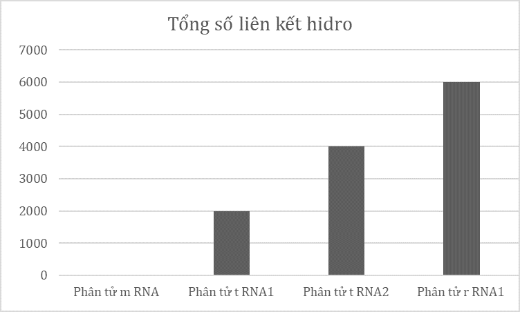Hình bên mô tả tổng số liên kết hydrogen trong các phân tử RNA, phân tử nào có độ bền nhiệt cao nhất?    (ảnh 1)