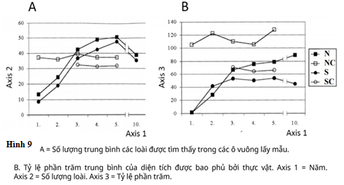 Những cây thông đen được chuyển đến trồng ở một số đồng cỏ đá khoáng ở Hungary. Do tác động che bóng của cây thông và các chất bị rò rỉ từ lớp thảm mục (ảnh 1)