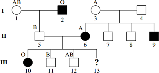 Sơ đồ phả hệ dưới đây mô tả sự di truyền của 1 bệnh ở người do 1 trong 2 alelle của một gene quy định (D trội hoàn toàn so với d). Gene (D, d) liên kết với gene quy định tính trạng nhóm máu ABO (ảnh 1)