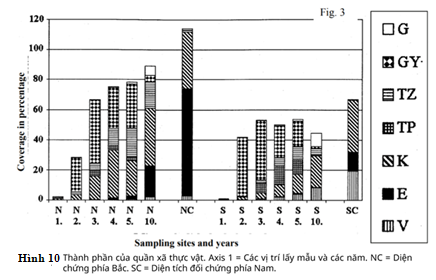 Những cây thông đen được chuyển đến trồng ở một số đồng cỏ đá khoáng ở Hungary. Do tác động che bóng của cây thông và các chất bị rò rỉ từ lớp thảm mục (ảnh 2)