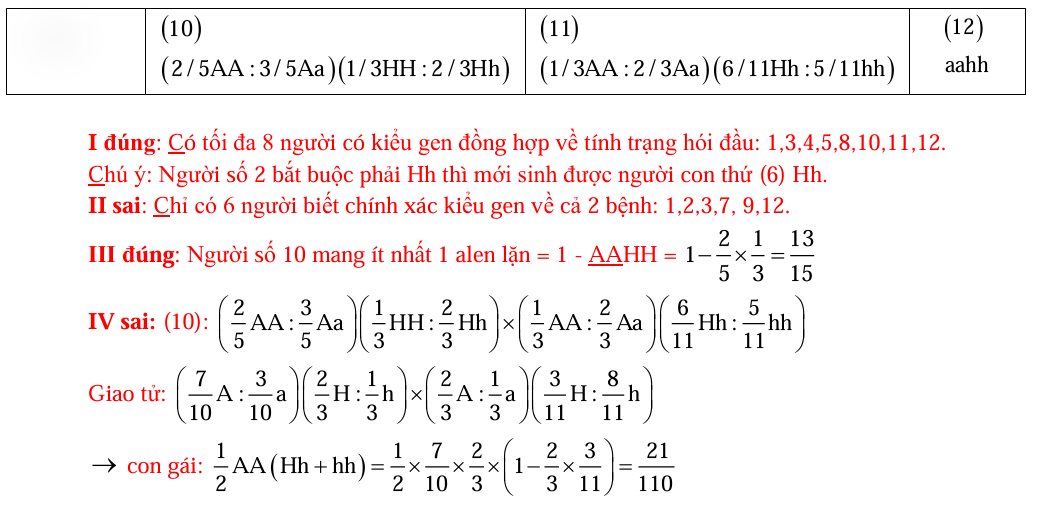 Biết rằng hai cặp gene quy định hai tính trạng nói trên không cùng nằm trong một nhóm gene liên kết; bệnh hói đầu do alen trội H nằm trên nhiễm sắc thể thường quy định, kiểu gene dị hợp Hh (ảnh 3)