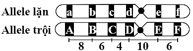 Hình 2 mô tả khoảng cách giữa một số locut gene (A, B, C, D, E và F) trên cặp nhiễm sắc thể (NST) số 12 của một loài động vật (đơn vị: centimorgan). Kí hiệu (●) mô tả tâm động NST. (ảnh 1)