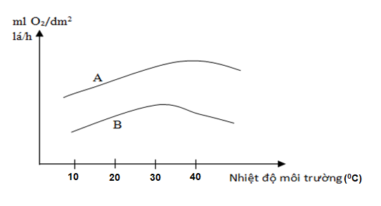 Theo dõi sự sản sinh oxygen trong mô lá và sự thải oxygen (O2) ra môi trường trong quá trình quang hợp của một cây C4 thẹo sự thay đổi của nhiệt độ môi trường, người ta lập được đồ thị bên đây. (ảnh 1)