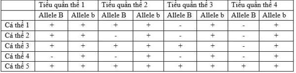 Nhằm định lượng mức độ đa dạng di truyền của một loài thực vật có nguy cơ tuyệt chủng, người ta tiến hành phân tích biến dị di truyền ở các tiểu quần thể (1 – 4) ở mức độ allele.  (ảnh 1)