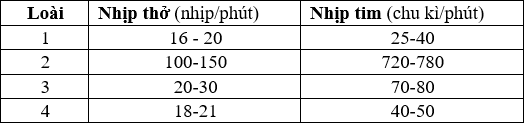 Bảng dưới đây mô tả nhịp thở và nhịp tim của 4 loài động vật có vú sống trên cạn. Dựa vào các thông tin ở bảng trên, hãy sắp xếp các loài động vật có vú (1, 2, 3, 4) theo thứ tự giảm dần cường độ trao đổi chất? (ảnh 1)