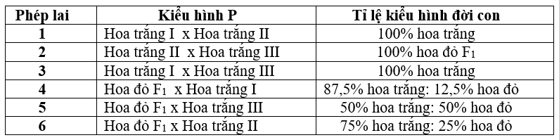 Ở một loài thực vật, cây kiểu dại có kiểu hình hoa màu đỏ. Các nhà tạo giống cây trồng đã thu được ba dòng đột biến có kiểu hình hoa màu trắng thuần chủng I, II, III  (ảnh 1)