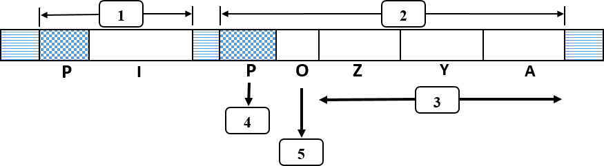 Cấu trúc operon lac ở vi khuẩn E. coli được minh hoạ ở hình sau:     Enzyme RNA polimerase bám vào vị trí số mấy để khởi động quá trình phiên mã nhóm gene cấu trúc? (ảnh 1)