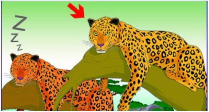 Đây là gì?   A. Báo cáo			B. Song báo			C. Hổ thức			D. Báo thức (ảnh 1)