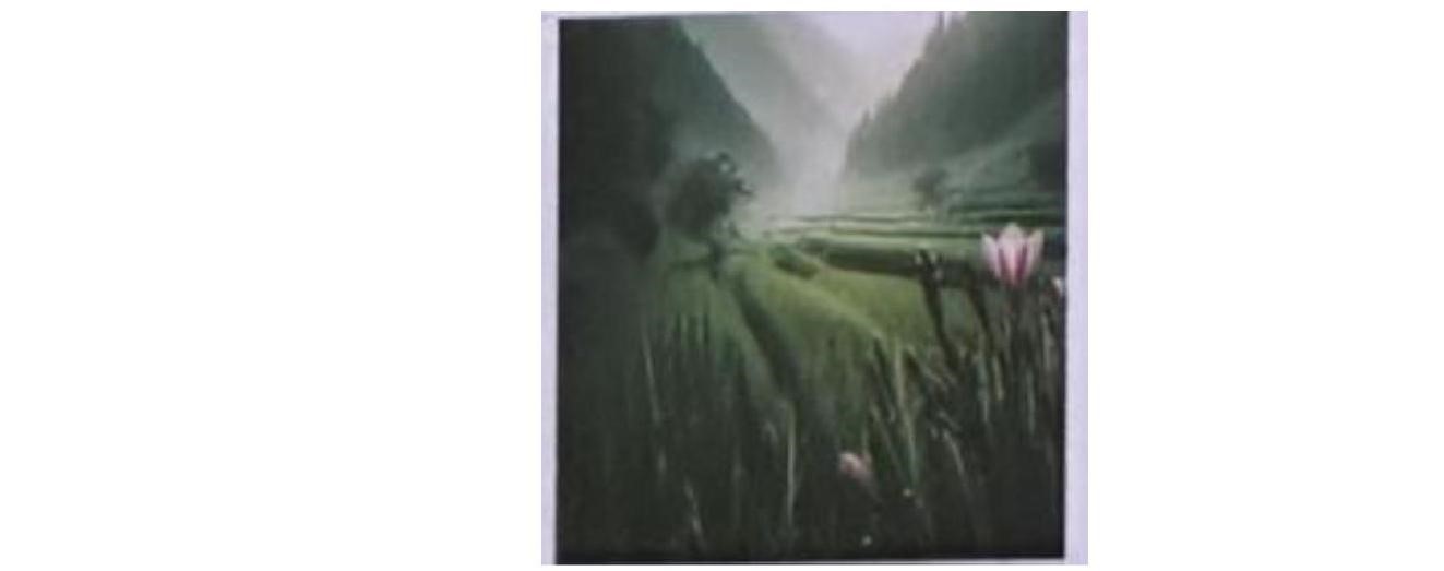 Đoạn thơ nào có thể dùng để miêu tả bức tranh              (ảnh 1)