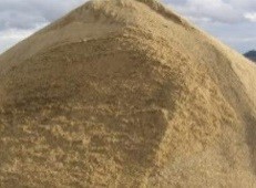 Thầy Nam có một đống cát hình nón cao 2m, đường kính đáy 6 m. Thầy Nam tính rằng để sửa xong ngôi nhà của mình cần 30 m3 cát. Hỏi thầy Nam cần mua bổ sung bao nhiêu m3 cát nữa để đủ cát sửa nhà (ảnh 1)