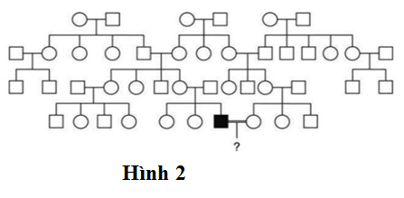 Một dạng bệnh điếc ở người do đột biến gene lặn trên nhiễm sắc thể X gây ra. Một người đàn ông mắc dạng điếc này kết hôn với một người phụ nữ bình thường. (ảnh 1)