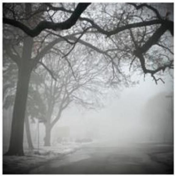 Câu văn nào dưới đây sử dụng biện pháp nhân hoá để mô tả bức ảnh sau? (ảnh 1)