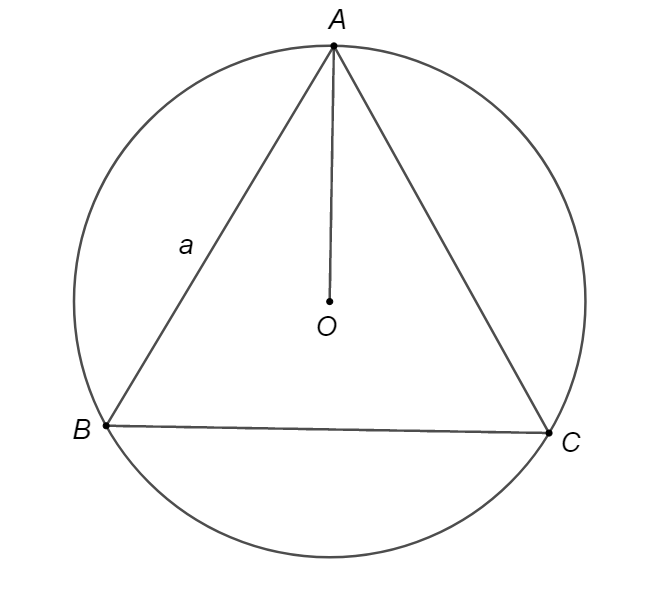 Đường tròn ngoại tiếp tam giác đều cạnh \(a\) có bán kính bằng (ảnh 1)