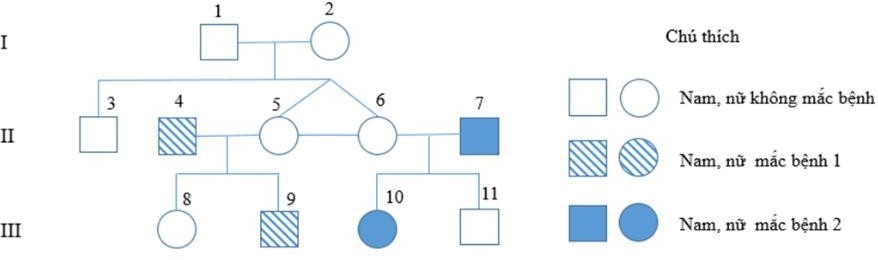 Ở người, x&eacute;t hai gen, mỗi gene quy định một t&iacute;nh trạng, hai gene nằm tr&ecirc;n hai cặp NST thường kh&aacute;c nhau. Phả hệ b&ecirc;n m&ocirc; tả sự di truyền của hai bệnh n&agrave;y trong c&aacute;c gia đ&igrave;nh. (ảnh 1)