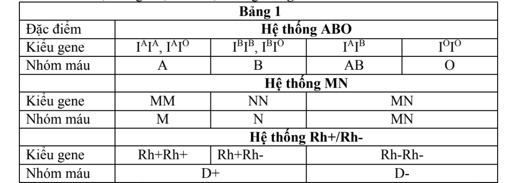 Ở người, có nhiều hệ thống phân loại nhóm máu, phổ biến nhất là hệ thống ABO, MN và Rh+/Rh-. Kiểu gene và nhóm máu của mỗi hệ thống được thể hiện trong Bảng 1 (ảnh 1)