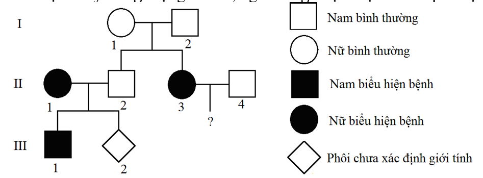 Bệnh Mucoviscidose là một bệnh nặng biểu hiện với rối loạn về tiêu hóa và hô hấp, những rối loạn này càng tăng theo tuổi tác, nguyên nhân là do các chất nhày do các tuyến nhày  (ảnh 1)