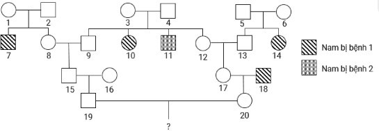 Trong một dòng họ có hiện tượng giao phối cận huyết và xuất hiện 2 bệnh di truyền được thể hiện trong sơ đồ phả hệ dưới đây. Biết không xuất hiện đột biến mới, người số 16 không mang allele gây bệnh, (ảnh 1)