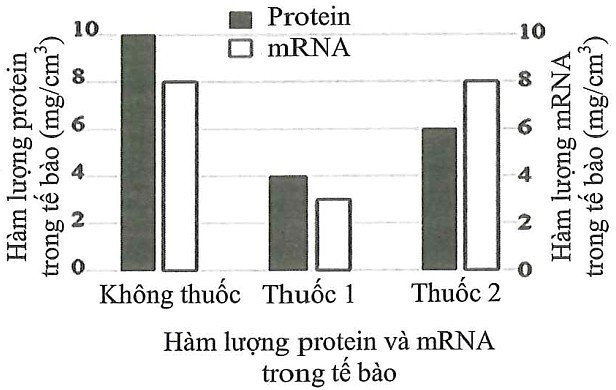 Để nghiên cứu cơ chế tác động của 2 loại thuốc mới điều trị bệnh nhân Covid-19 (thuốc 1 và thuốc 2 ) người ta tiến hành thử nghiệm tác động của chúng lên quá trình biểu hiện gene của virus (ảnh 1)