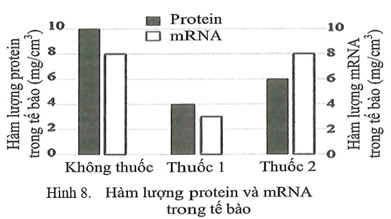 Để nghiên cứu cơ chế tác động của 2 loại thuốc mới điều trị bệnh nhân Covid-19 (thuốc 1 và thuốc 2) người ta tiến hành thử nghiệm tác động của chúng lên quá trình biểu hiện gene của gene virus  (ảnh 1)