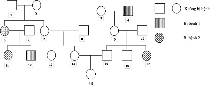 Phả hệ sau đây mô tả sự di truyền của 2 bệnh.     Biết rằng người số 6 không mang allele gây bệnh 1, người số 8 mang allele bệnh 2; gene gây bệnh 1, 2 phân li độc lập và không xảy ra đột biến. (ảnh 1)