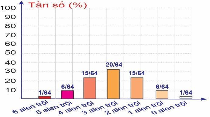 Màu lông ở động vật được thiết lập trên biểu đồ (F2) thu được sau khi cho F1 dị hợp tất cả các gene phân li độc lập giao phối ngẫu nhiên nhau: (ảnh 1)