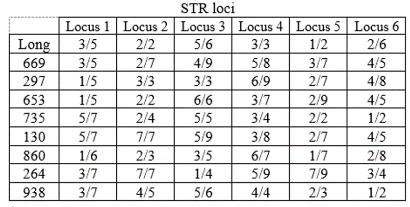 Các nhà khoa học đã phân tích các mẫu DNA của 3 gia đình bằng cách sử dụng 6 locus đoạn  lặp ngắn kế tiếp (short tandem repeat - STR) nằm trên 6 nhiễm sắc thể thường khác nhau. (ảnh 1)