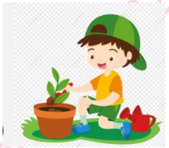 Câu nào dưới đây sử dụng biện pháp nhân hoá để mô tả bức tranh sau? (ảnh 1)