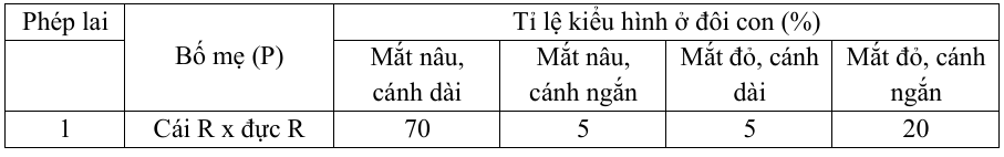 Ở một loài côn trùng, mỗi tính trạng màu mắt và hình dạng cánh đều do một gene quy định. Khi lai các dòng thuần chủng tương phản khác nhau về hình dạng cánh và màu thân, người ta thu được 2 nhóm cá thể có kiểu gene khác nhau (ảnh 1)