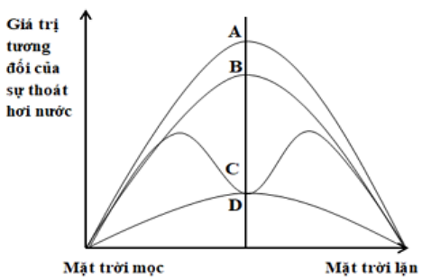 Hình sau biểu diễn quá trình thoát hơi nước của cây sống trong điều kiện khô hạn. Trong các đường cong A, B, C, D, đường cong nào mô tả sự thoát hơi nước qua lớp cutin (cuticle)? (ảnh 1)
