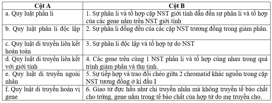 Bảng thông tin sau về cơ sở tế bào học của các quy luật di truyền: (ảnh 1)