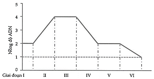 Sơ đồ sau đây biểu diễn hàm lượng DNA trong một tế bào sinh dưỡng 2n trải qua một quá trình phân bào nào đó. Dựa vào sơ đồ, có bao nhiêu phát biểu sau đây đúng  (ảnh 1)