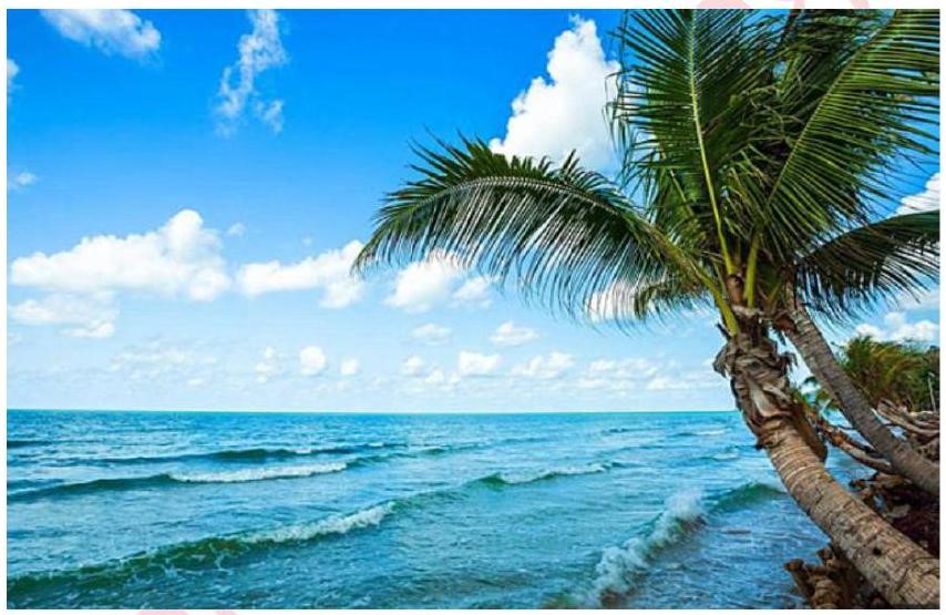 Câu nào dưới đây là câu ghép miêu tả đúng khung cảnh thiên nhiên trong bức tranh sau? (ảnh 1)