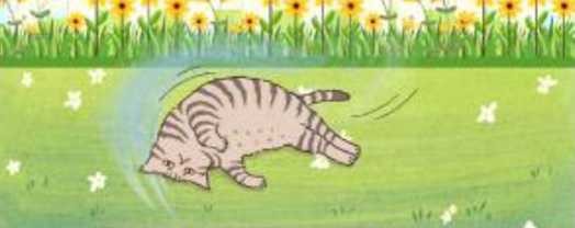 Hình ảnh dưới đây có thể dùng để minh hoạ cho đoạn thơ nào? (ảnh 1)