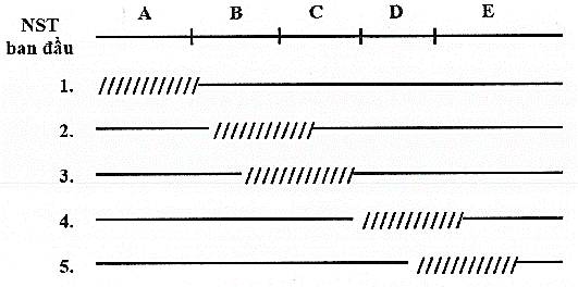 Các trình tự một operon ở vi khuẩn E. coli nằm trong đoạn NST được kí hiệu từ A đến E. Để xác định các trình tự của operon này, người ta sử dụng 5 trường hợp đột biến (ảnh 1)