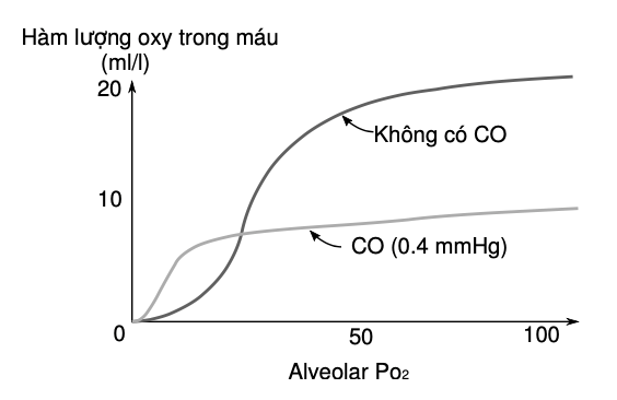 Để đánh giá chức năng hô hấp, dòng và thể tích của khí thở ra được đo đạc trong khi thở ra gắng sức (dòng dương) theo sau bởi một sự hít vào tận lực (dòng âm). Thể hiện dưới đây là một kết quả đo được từ 1 bệnh nhân (đường nét liền). (ảnh 2)