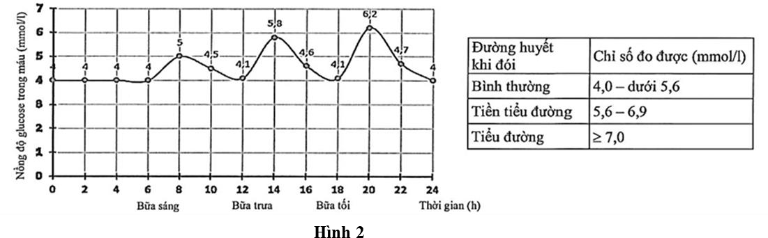 Khi tiến hành đo chỉ số đường huyết của bác X ở các thời điểm khác nhau trong ngày, các kĩ thuật viên đã thu được kết quả thể hiện qua đồ thị (Hình 2) (ảnh 1)