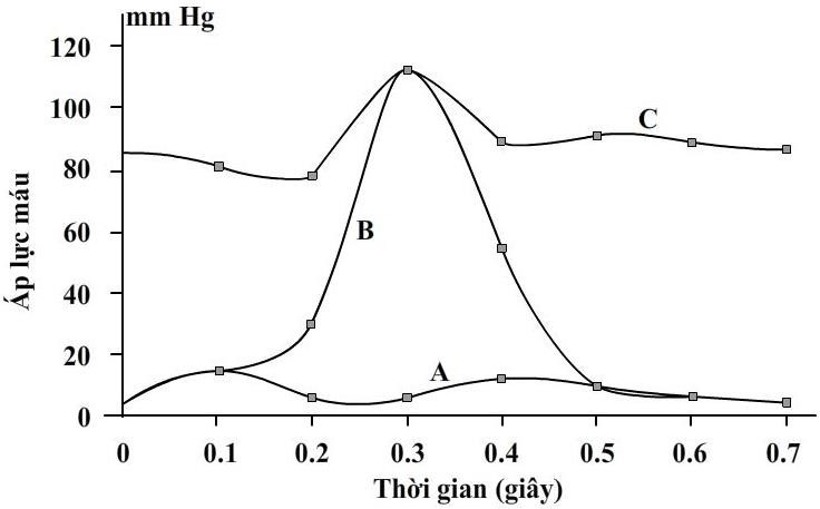 Các đường cong A, B, C trong đồ thị dưới đây thể hiện sự thay đổi áp lực máu (mmHg) trong một chu kì tim bình thường của một loài linh trưởng. (ảnh 1)