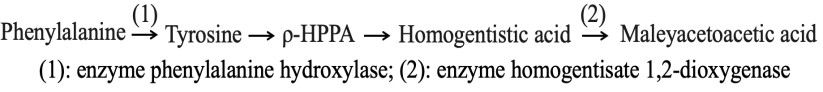 Sơ đồ sau m&ocirc; tả con đường chuyển h&oacute;a phenylalanine li&ecirc;n quan đến 2 bệnh chuyển h&oacute;a di truyền ở người, gồm bệnh PKU v&agrave; bệnh AKU: (ảnh 1)