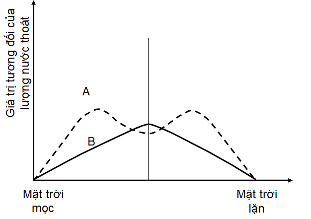 Hình bên biểu diễn quá trình thoát hơi nước của một cây C3 trong một ngày nắng ráo. Các đường cong A, B chỉ các con đường thoát hơi nước qua lá.   Nhận định nào sau đây không đúng? (ảnh 1)