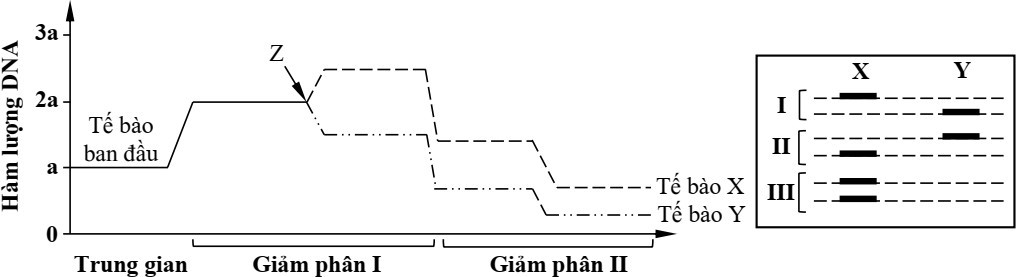 Một tế bào có kiểu gene 𝐴𝐵 DdEe ( 𝐴𝐵 tương ứng với nhiễm sắc thể số 1; Dd tương ứng với nhiễm 𝑎𝑏	𝑎𝑏 sắc thể số 2; (ảnh 1)