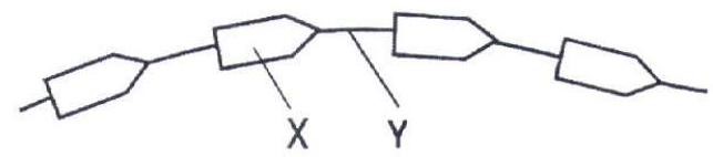 H&igrave;nh dưới đ&acirc;y m&ocirc; tả một đoạn chuỗi polypeptide.   K&iacute; hiệu X v&agrave; Y lần lượt l&agrave;    A. amino acid v&agrave; li&ecirc;n kết hydrogen.		B. amino acid v&agrave; li&ecirc;n kết peptide.    C. glucose v&agrave; li&ecirc;n kết peptide.			D. amino acid v&agrave; li&ecirc;n kết  (ảnh 1)