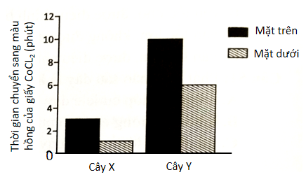 Giấy tẩm Cobalt (II) chloride (CoCl2) có màu xanh da trời khi khô nhưng khi tiếp xúc với nước sẽ chuyển sang màu hồng. Người ta tiến hành làm thí nghiệm lấy một số giấy tẩm CoCl2,  (ảnh 1)