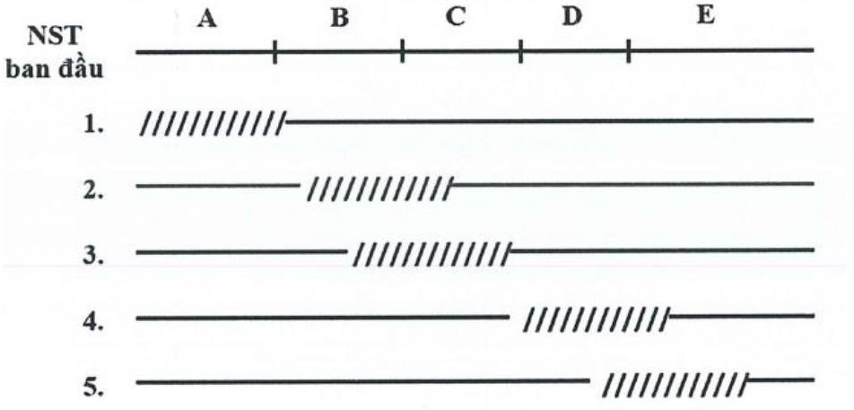 Các trình tự một opêron ở vi khuẩn E.coli nằm trong đoạn NST được kí hiệu từ A đến E. Để xác định các trình tự của opêron này, người ta sử dụng 5 trường hợp đột biến mất đoạn như hình bên  (ảnh 1)