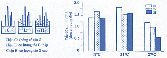 Loài rong X sống ở vùng biển ven bờ Z, nơi có nhiệt độ mùa hè hiếm khí cao hơn 18°C. Thực hiện thí nghiệm nuôi loài rong X trong 3 chậu nuôi (hình a), ở 3 điều kiện nhiệt độ: 18°C, 21°C, 27°C, người ta thu được kết quả ở hình b. (ảnh 1)