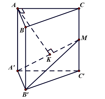 ho h&igrave;nh lăng trụ đứng \(ABC.A'B'C'\) c&oacute; đ&aacute;y l&agrave; ta (ảnh 1)