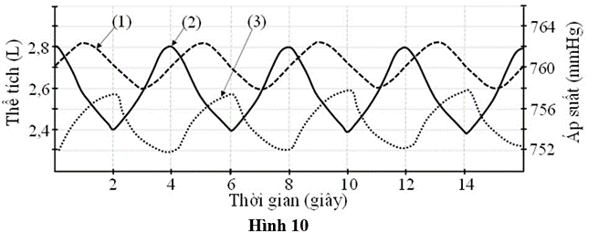 Hình 11 biểu thị sự thay đổi thể tích và áp suất ở một số cơ quan hô hấp trong quá trình hít thở của một người khỏe mạnh bình thường  (ảnh 1)