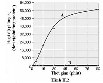 Các nhà khoa học đã xác định được rằng mRNA nhân tạo có trình tự gồm toàn nucleotide loại U (polyU) chứa mã di truyền mã hóa cho amino acid phenylalanine. Một thí nghiệm đã được tiến hành như sau: (ảnh 1)