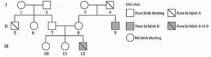 Ở người, bệnh A do allele lặn nằm trên NST thường quy định, bệnh B do allele lặn khác nằm trên vùng không tương đồng của NST giới tính X quy định. (ảnh 1)