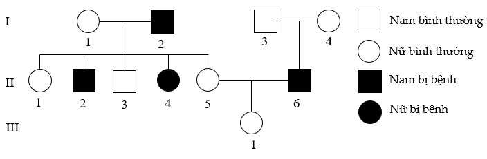 Cho sơ đồ phả hệ dưới đây, bệnh do một cặp gene có 2 alen quy định, không có đột biến xảy ra ở các cá thể trong phả hệ :   Kiểu gene của những người: I1, I2, I3, I4, II4, II5 và III1 lần lượt có thể là: (ảnh 1)