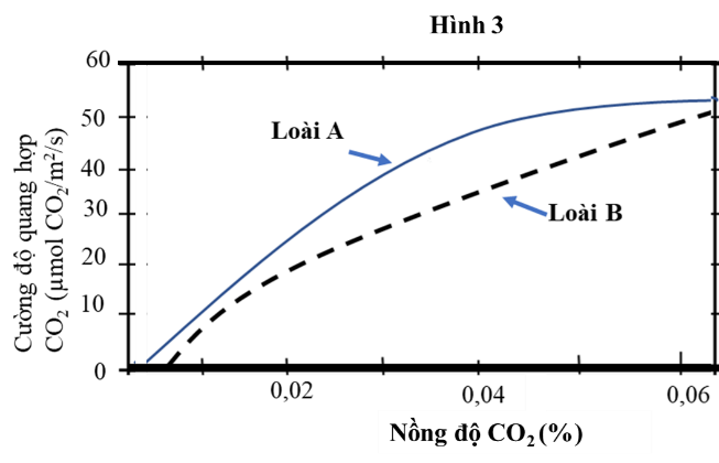 Hình 3 thể hiện cường độ quang hợp của cây C3 và cây C4 ở các mức nồng độ CO2 khác nhau, nhiệt độ và cường độ chiếu sáng ổn định. (ảnh 1)